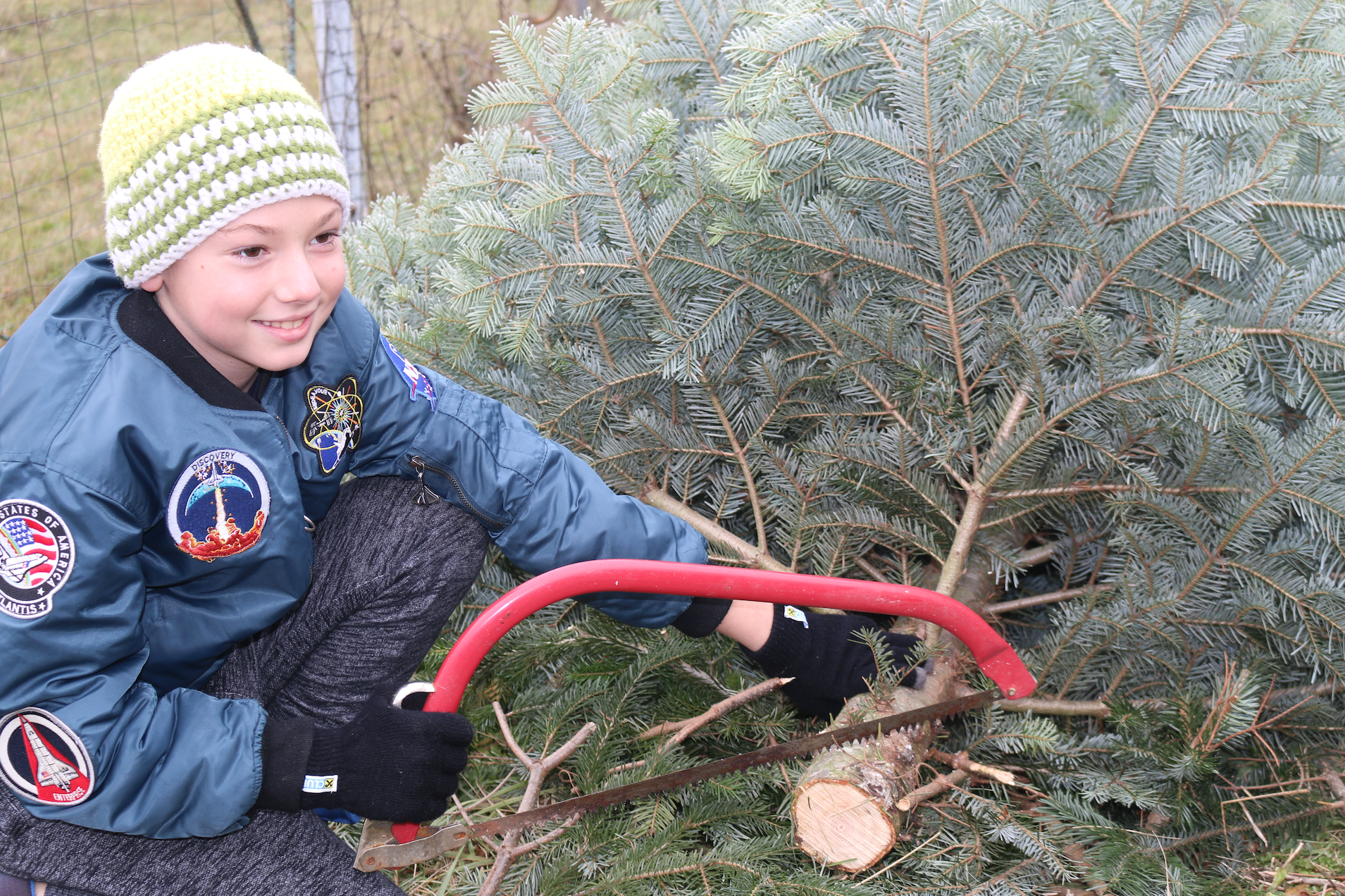 Christbaum_Janisch12