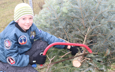 Christbaum_Janisch11