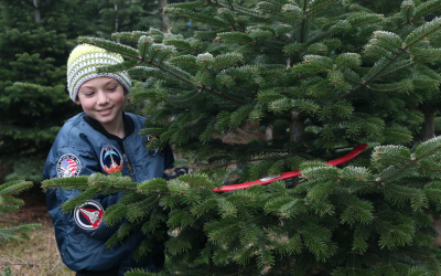 Christbaum_Janisch5